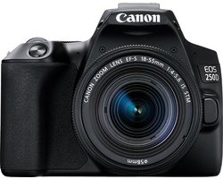 Canon EOS 250D + EF-S 18-55mm IS STM - Zwart