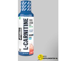 L-Carnitine Liquid 3000-Green Tea-Fruit Burst