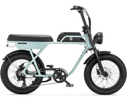 AGM GT250 - Fatbike - 12.8Ah - Grijs Parelmoer - Hydraulische remmen