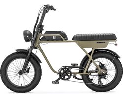 AGM GT250 - Fatbike - 12.8Ah - Groen - Hydraulische remmen