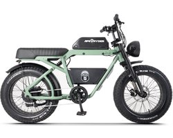 Ape Ryder Bonobo Elektrische Fatbike 250W / 48V / 20AH / 20Inch Groen