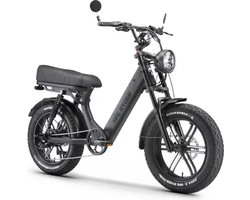 Ape Ryder MD10 PRO - 250W- Elektrische Fatbike - Zwart | Art 3 slot