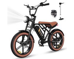 Colorway Elektrische Fiets BK29 - 20*4.0 Inch Fatbike - Mountain Snow EBike met Afneembare 48V 15Ah Lithium Batterij - City Commuter E-Bike met 250W Motor - 7 Versnellingen - IP54 Waterdicht