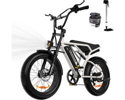 Colorway Elektrische Fiets BK29G - 20*4.0 Inch Fatbike - Mountain Snow EBike met Afneembare 36V 12Ah Lithium Batterij - City Commuter E-Bike - IP54 Waterdicht