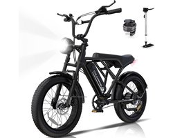 Colorway Elektrische Fiets BK29G - 20*4.0 Inch Fatbike - Mountain Snow EBike met Afneembare 36V 12Ah Lithium Batterij - City Commuter E-Bike met 250W Motor - IP54 Waterdicht