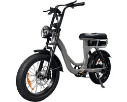 EB8 Elektrische Fatbike - Lage Instap - Gratis Kettingslot - Gratis Bekerhouder - 20 Inch - 250W Motor - 7 Versnellingen - 80 km Actieradius - Hydraulische Schijfremmen - Grijs