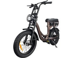 EB8 Elektrische Fatbike - Lage Instap - Gratis Kettingslot - Gratis Bekerhouder - 20 Inch - 250W Motor - 7 Versnellingen - 80 km Actieradius - Hydraulische Schijfremmen - Koffie