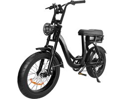 EB8 Elektrische Fatbike - Lage Instap - Gratis Kettingslot - Gratis Bekerhouder - 20 Inch - 250W Motor - 7 Versnellingen - 80 km Actieradius - Hydraulische Schijfremmen - Zwart