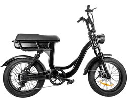 EB8 - Fatbike - Zwart - 250W - Elektrische Fatbike