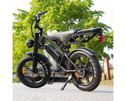 Ebikekopen.com Fatbike V20 3.0