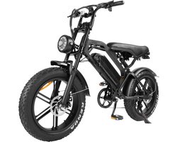 Ebikekopen.com Fatbike V20 Pro 3.0 - 2024 model - Met Slot - Achterzitje - E bike - E-Fatbike - Elektrische Fiets - Met Accessoires - Voetensteuntjes - 2024/2025 Model