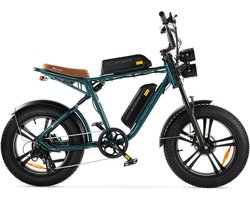 ENGWE M20 - Fatbike - Dubbele Accu - Groen - 250W - Elektrische Fatbike