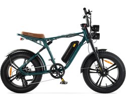 ENGWE M20 - Fatbike - Groen - 250W - Elektrische Fatbike