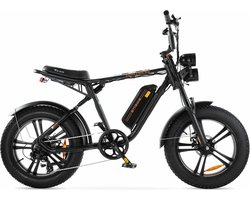 ENGWE M20 - Fatbike - Zwart - 250W - Elektrische Fatbike