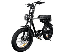 Fat Wheelz - FW4 Black Edition - Fatbike E-bike 250Watt 25 km/u 20” Banden – 7 Versnellingen met alarm