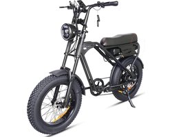 NinRyde - Tourwheel T3 Pro - Fatbike - 250W - 18.2Ah - Max. 25KM/H - Zwart - Incl. Achterrekje en Alarm