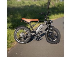 Spekbike - Fatbike - Electrisch - E Bike - Elektrische Fiets - 750W Motor - 20 Inch - Inclusief Extra Slot