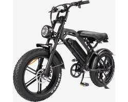 Stepwheels V20 E-Fatbike- 250W motor- 25km/h- Elektrische fiets- elektrische Fatbike- E Bike- RIJKLAAR SERVICE