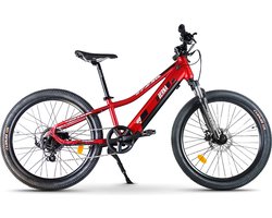 Urbanbiker Berna | Elektrische Kinder Mountainbike | 70 km Actieradius | 24"