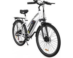 COLORWAY BK27 Elektrische Fiets - 28 Inch - 250W- 36V 15Ah - Zilver