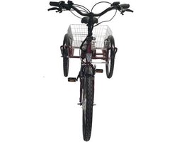 DUKER DKR2 Senior Maxi Swing tricycle