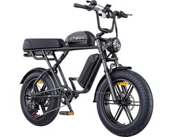 ENGWE M1 elektrische fiets, 250W motor, 48V 15.6Ah+13Ah accu, 20*4.0 inch dikke band, 25 km/h max snelheid, 170km actieradius, hydraulische schijfremmen, dubbele vering, Shimano 7 versnellingen, LCD scherm - Zwart