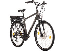 Hollandia Fiets (elektrisch) Empfohlene Körpergröße: 145 - 190 cmE Citybike Herren 28'' Hollandia Zagon grau 6-Gang - 53 cm