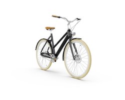 Watt Dublin ST E-bike 50CM Zwart