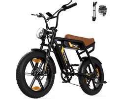 Hitway Elektrische Fiets BK29S - 20*4.0 Inch Fatbike - Twee Afneembare 48V 13Ah Lithium Batterij - Mountain Snow EBike met IP54 Waterdicht - City Commuter E-Bike met 250W Motor - 7 Versnellingen