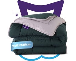 Slaapspeciaal All year dekbed enkel - eazydekbed ® Series Groen/Grijs - Dekbed zonder overtrek | 240x220 cm - 30 dagen proefslapen - Hoesloos dekbed - Bedrukt dekbed zonder overtrek - Dekbed in kleur - Gekleurd dekbed - Lits Jumeaux Dekbed