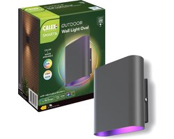 Calex Smart Outdoor LED Up & Down Wandlamp - Slimme Buitenlamp - Ovaal - RGB en Warm Wit Licht - 6W - Zwart