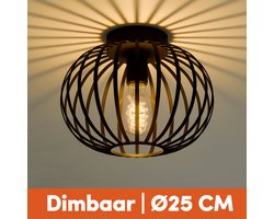 Nolt Plafondlamp Zwart - Plafonniere E27 Lamp - Industrieel - ⌀ 25cm