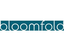 Bloomfold Luchtontvochtiger 10L - BF008