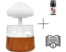 RIY-check™ Rain Cloud Humidifier + Essential olie - Regenwolk luchtbevochtiger + Handleiding - Regenwolk Luchtbevochtiger