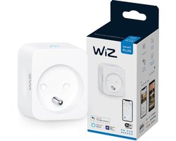 WiZ Slimme stekker Slimme verlichting Accessoire - Type E - WiFi