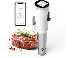 INKBIRD WiFi Sous Vide Stick ISV-101W