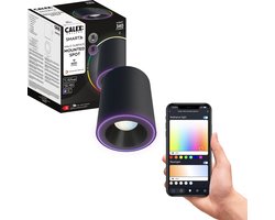 Calex Halo Slimme Opbouwspot - Smart Downlight - RGB en Warm Wit Licht - Zwart