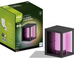 Calex Smart Outdoor LED Buitenlamp - Slimme Wandlamp - RGB en Warm Wit Licht - 4W - Zwart