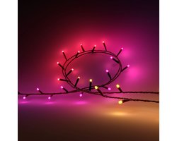 Philips Hue Festavia lichtslingers - 8 meter - 100 LED’s - Ideaal voor Kerst