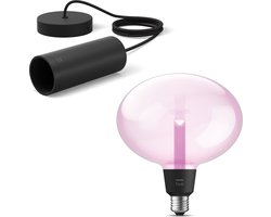 Philips Hue Lightguide Hanglamp (Zwart) - E27 - Wit en Gekleurd Licht - Incl. 1 Hue Lightguide Ellipse Lamp - Hue White and Color Ambiance