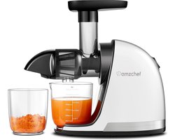 AMZCHEF Fruit- en Groentepers Slowjuicer