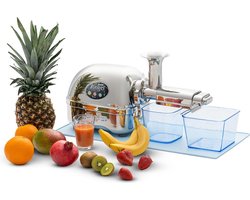 Angel juicer AG-8500 Slowjuicer | Horizontaal | RVS