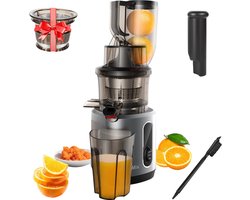 Slowjuicer - Fruit en Groente - 500ML - 200W - Koude Pers Juicer - Zwart - Met extra ijsfilter accessoires om ijs te maken