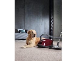 Miele Complete C3 Cat&Dog PowerLine - Stofzuiger