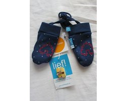 Lief! wantjes Dutch blue size 1