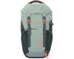 Jack Wolfskin Waldspieler 20l Rugzak Groen