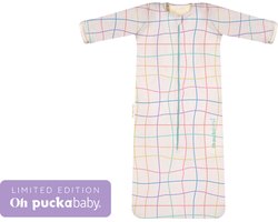 Puckababy Slaapzak 4 Seizoenen Baby - Zomerslaapzak en Winterslaapzak (6m-2,5j) - TOG 0.25 tot TOG 2.5 - Funky Lines