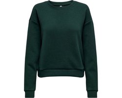 Only Play Lounge Sweater Dames - Maat L