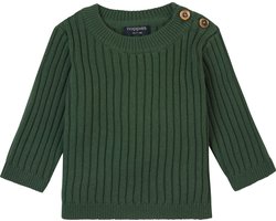 Noppies Pullover Golbey long sleeve Jongens Trui - Maat 74