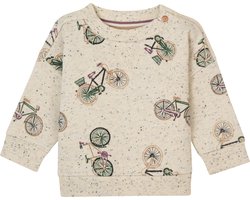 Noppies Sweater Garidech long sleeve allover print Jongens Trui - Maat 68